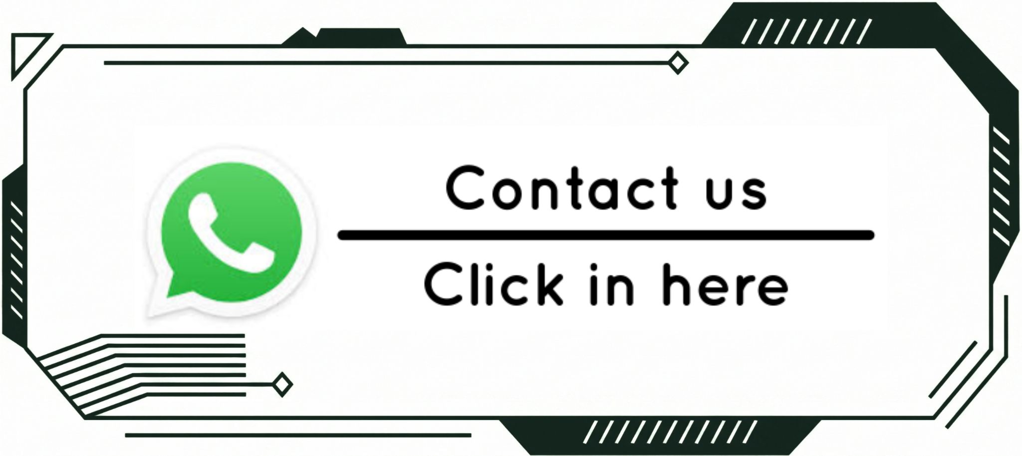 WhatsApp Contact